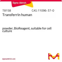 Трансферрин человеческий, порошок, BioReagent, для клеточных культур