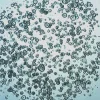 3dGRO® Колоректальные интестинальные органоиды, возраст 46 (14-881-CR)