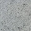 K562 клеточная линия человека