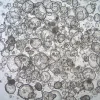 3dGRO® колоректальные интестинальные органоиды, возраст 29 лет (Prep 80-C)