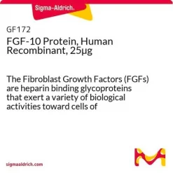 Фактор роста фибробластов 10 (FGF-10), человеческий рекомбинантный, 25 мкг