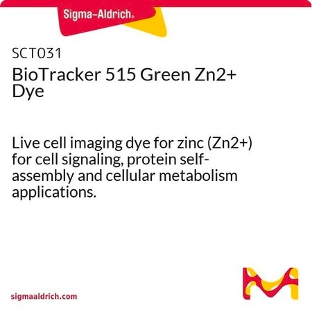 Биотрекер 515 Green Zn2+ Dye, флуоресцентный краситель для визуализации ионов цинка в живых клетках