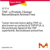 TNF-α, человеческий рекомбинантный, без компонентов животного происхождения