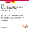 Набор для оценки инвазии клеток QCM ECMatrix, 24-луночный (8 мкм), флуориметрический