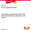 Лиганд FLT3 человека, рекомбинантный, экспрессирован в клетках HEK 293, HumanKine®
