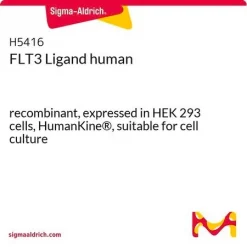 Лиганд FLT3 человека, рекомбинантный, экспрессирован в клетках HEK 293, HumanKine®
