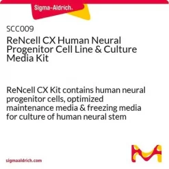 ReNcell CX — линия иммортализованных нейральных прогениторных клеток человека и набор сред для культивирования