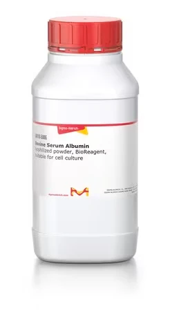Бычий сывороточный альбумин (BSA), лиофилизированный порошок, BioReagent, для культур клеток