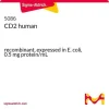 CD2 человека, рекомбинантный, экспрессирован в E. coli, 0,5 мг/мл