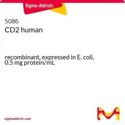 CD2 человека, рекомбинантный, экспрессирован в E. coli, 0,5 мг/мл