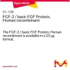 FGF-2 / основной FGF, рекомбинантный белок человека