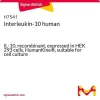 Интерлейкин-10 человеческий, рекомбинантный, экспрессирован в клетках HEK 293, HumanKine