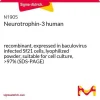 Нейротрофин-3 человеческий, рекомбинантный, экспрессированный в клетках Sf21, лиофилизированный порошок