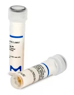 Escherichia coli WDCM 00202 Vitroids™, сертифицированный стандарт, 80–130 КОЕ
