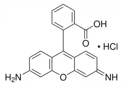 Родамин 110 хлорид, BioReagent, подходит для флуоресценции, ≥99.0% (UV)
