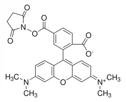 6-Карбокситетраметилродамин N-сукцинимидиловый эфир, BioReagent, для флуоресценции