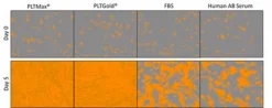 PLTGold® Human Platelet Lysate, 100 мл
