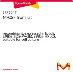 M-CSF крысы, рекомбинантный, экспрессирован в E. coli