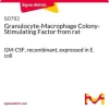 Гранулоцитарно-макрофагальный колониестимулирующий фактор крысы (GM-CSF), рекомбинантный, экспрессированный в E. coli