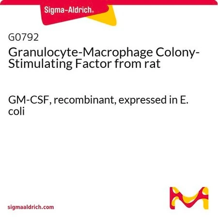 Гранулоцитарно-макрофагальный колониестимулирующий фактор крысы (GM-CSF), рекомбинантный, экспрессированный в E. coli