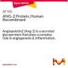 Ангиопоэтин-2 (ANG-2), рекомбинантный белок человека