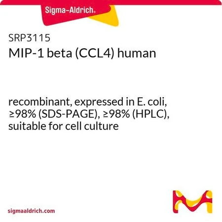 MIP-1 бета (CCL4), человеческий, рекомбинантный, экспрессирован в E. coli
