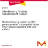 Интерферон-γ, рекомбинантный белок человека