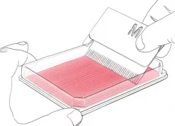 Набор для царапинного анализа Cell Comb™ Scratch Assay