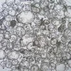 3dGRO® Колон-интестинальные органоиды, возраст 55 (Prep 89-C)