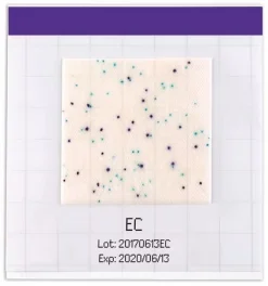 MC-Media Pad® EC для колиформ и Escherichia coli, готовое к использованию, упаковка 4 × 25 шт.