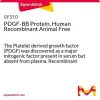 PDGF-BB, человеческий рекомбинантный, Animal Free