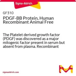 PDGF-BB, человеческий рекомбинантный, Animal Free