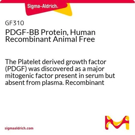 PDGF-BB, человеческий рекомбинантный, Animal Free