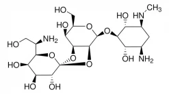 Гигромицин B из Streptomyces hygroscopicus, BioReagent, ≥60% (HPLC), лиофилизированный порошок