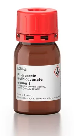 Флуоресцеин изотиоцианат, изомер I (FITC), порошок, ≥90% (HPLC)