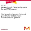 Херегулин-β3, домен эпидермального фактора роста (EGF), жидкий