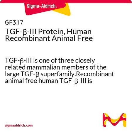 TGF-β-III, рекомбинантный белок человека, Animal Free