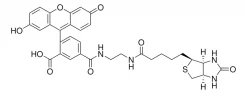 Биотин-4-флуоресцеин, ≥95.0% (HPLC)
