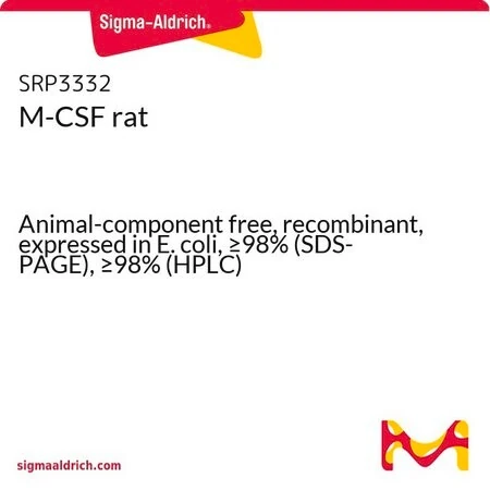 M-CSF крысы, рекомбинантный, экспрессированный в E. coli