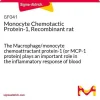 Моноцитарный хемоаттрактантный белок-1 (MCP-1), рекомбинантный крысиный