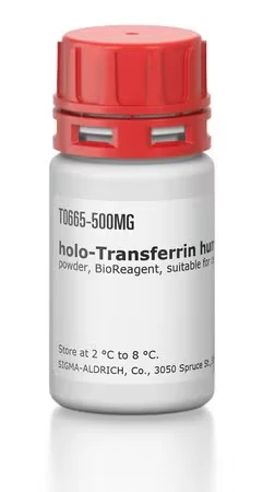 holo-Трансферрин человеческий, порошок, BioReagent, для культуры клеток, ≥97%