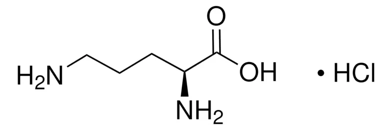 L-орнитина моногидрохлорид, BioReagent, для клеточных культур, ≥99%