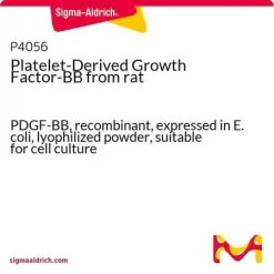 Тромбоцитарный фактор роста-BB (PDGF-BB), рекомбинантный, из E. coli, лиофилизированный порошок