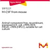 M-CSF мышиный, рекомбинантный, экспрессирован в E. coli