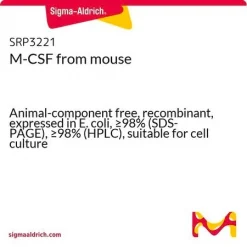 M-CSF мышиный, рекомбинантный, экспрессирован в E. coli