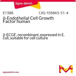 β-Эндотелиальный фактор роста клеток человека, рекомбинантный, E. coli
