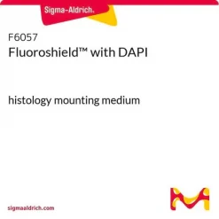 Fluoroshield™ с DAPI, жидкость