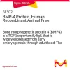 BMP-4, человеческий рекомбинантный, Animal Free, белок