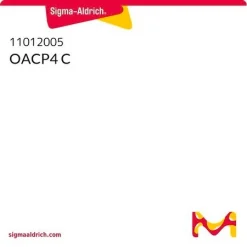 Клеточная линия OACP4 C