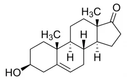 Раствор дегидроэпиандростерона (DHEA), 1.0 мг/мл в метаноле, ампула 1 мл, сертифицированный стандарт, Cerilliant®